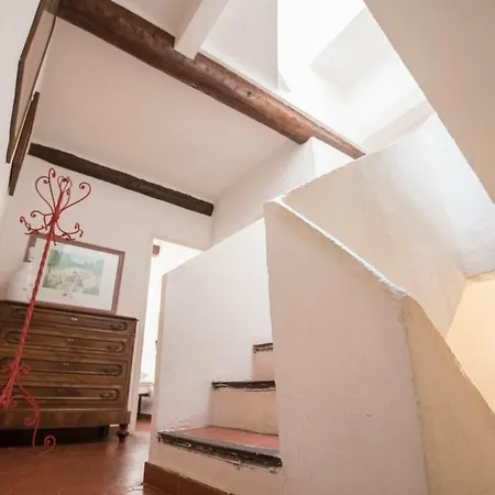 Traditional House By Connexion Antibes