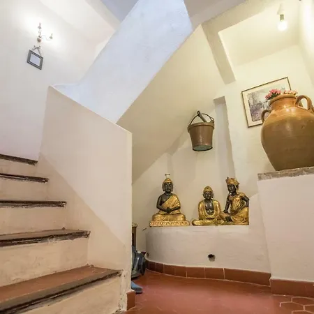 Traditional House By Connexion * Antibes